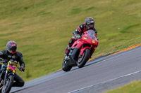 PJ-Motorsport-2019;anglesey-no-limits-trackday;anglesey-photographs;anglesey-trackday-photographs;enduro-digital-images;event-digital-images;eventdigitalimages;no-limits-trackdays;peter-wileman-photography;racing-digital-images;trac-mon;trackday-digital-images;trackday-photos;ty-croes